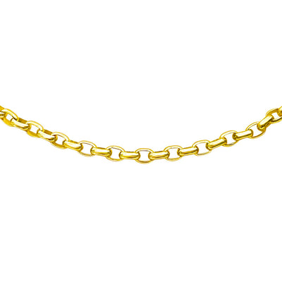 Signature Rolo Chain Gold