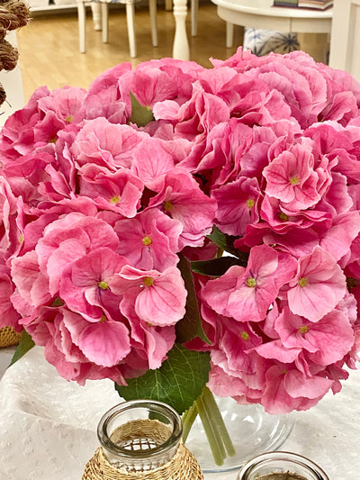 Pink Hydrangeas