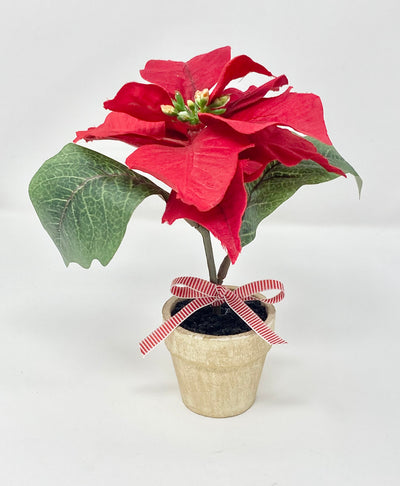 Red Mini Poinsettia