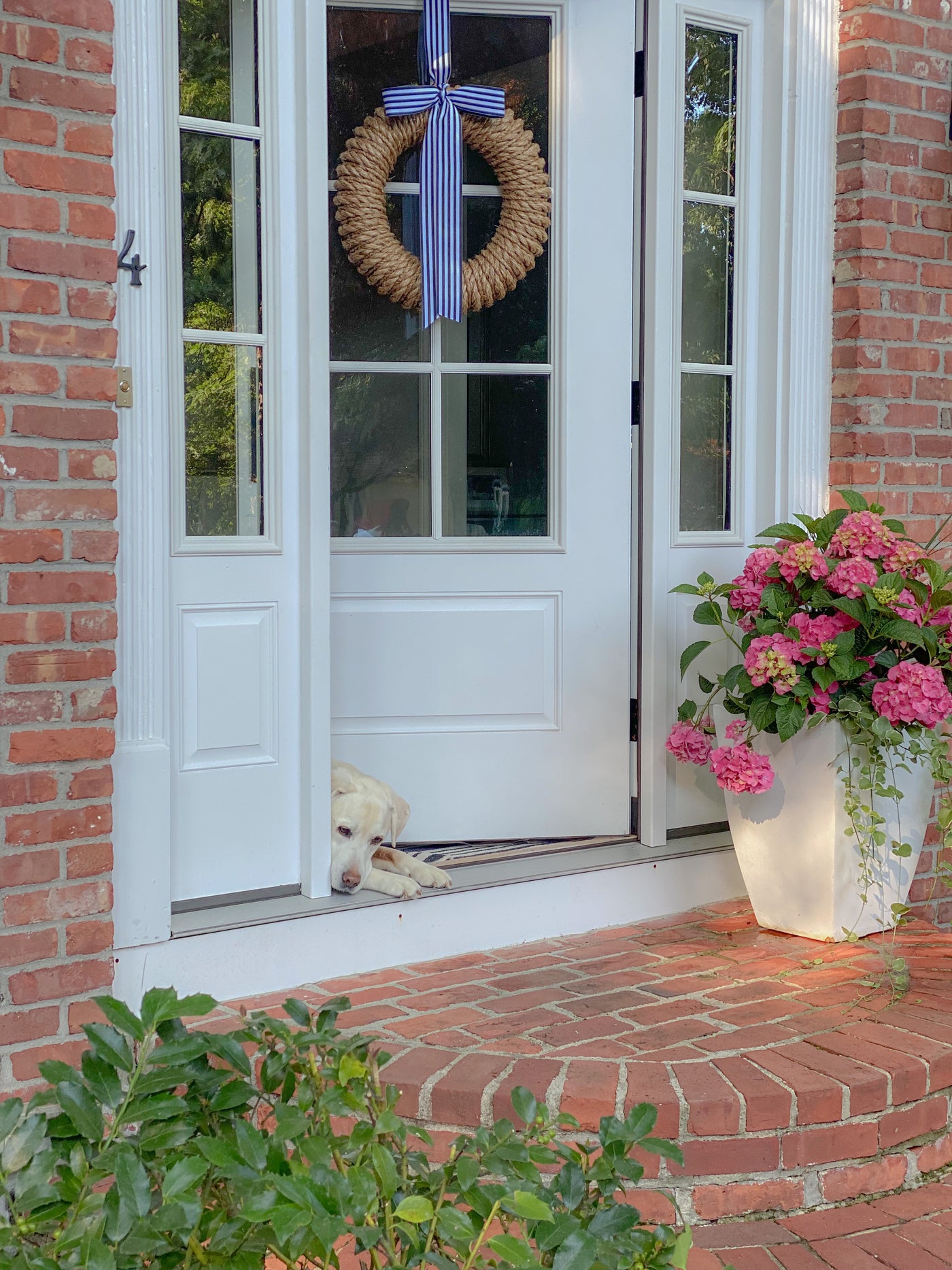 Newport Rope Wreath with Navy + White Signature Ribbon