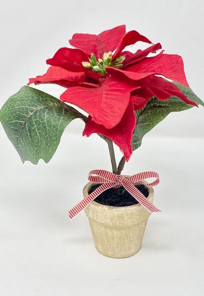 Red Mini Poinsettia