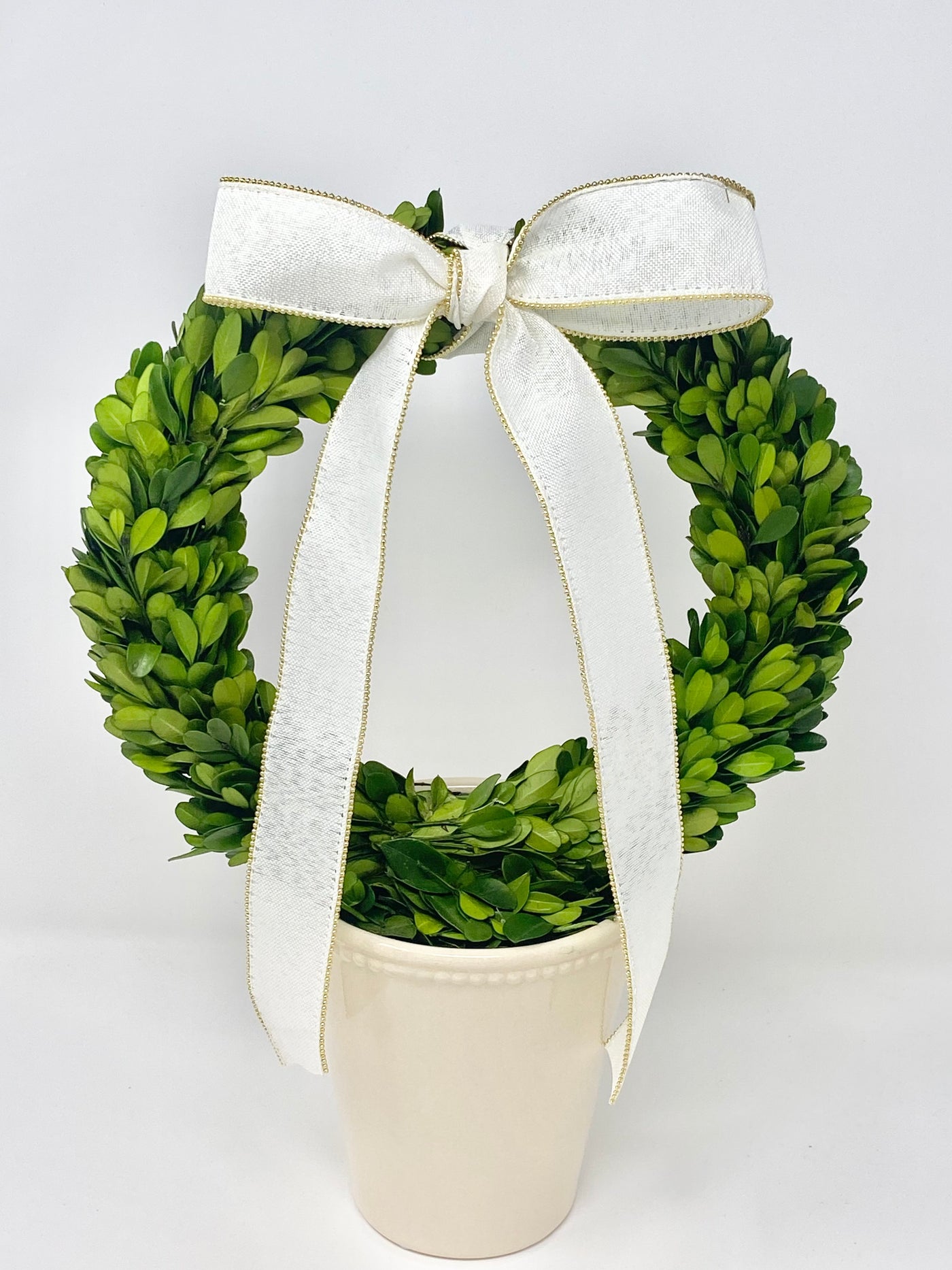 Newburyport Boxwood Wreath in Pot