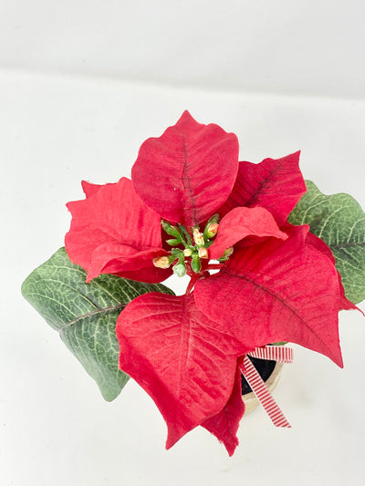 Red Mini Poinsettia