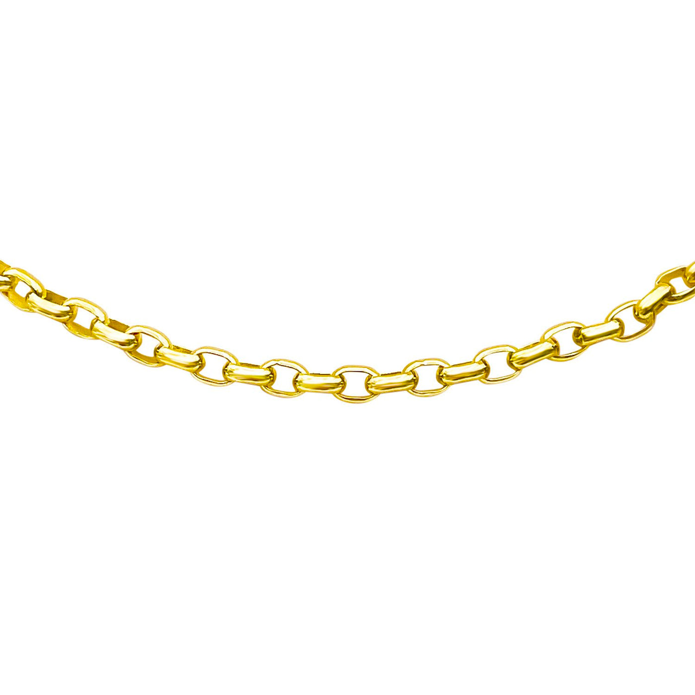 Signature Rolo Chain Gold