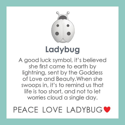 Lady Bug All Silver