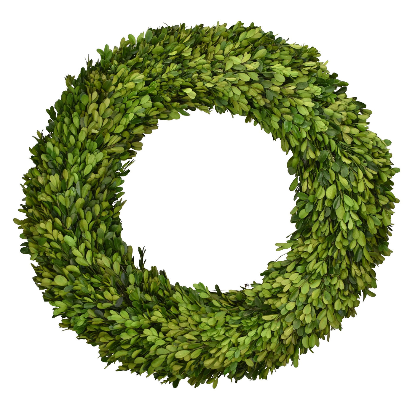 Montauk Boxwood Wreath